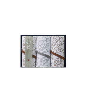 TԂ @v ԗi @ e{ [ tFCX^I3P 킵傭炳 IM3048 ]   Au    V   Ԃ ԗ ei O u   O 49 l\