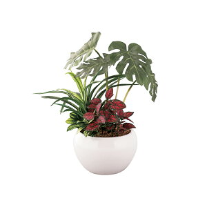 TԂ @v ԗi @ e{ [ gsJ񂹐A|bgXeitFCNO[j SCG}H FG1000 ]   Au    V   Ԃ ԗ ei 