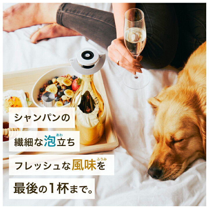 楽天市場 Zzysh ズィッシュ シャンパンプリザーバーセット ガスカートリッジ６本入セット 1年保証 シャンパン保存 ワイングッズ セラー専門店 ファンヴィーノ