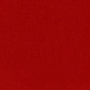 r IWi Cxg }WbNe[v^Cv 5F ( ԁEIW EEE ) 2TCY 