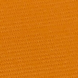 Lve}[N r A[oh TbJ[ tbgT 5F (  IW    ) 2TCY 