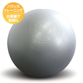 楽天市場 バランスボール 55cmの通販