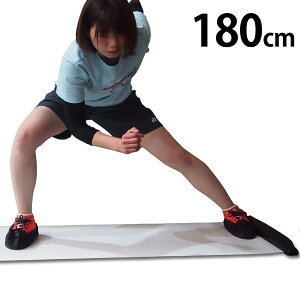 XCh{[h 180cm y V[YJo[ { [ܕt z ̊ g GNTTCY tBbglX _CGbg 