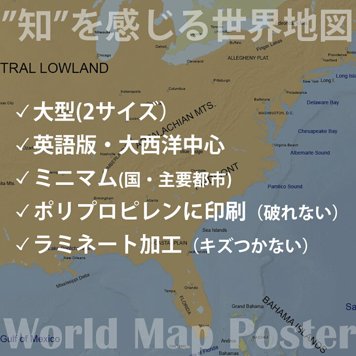 世界 地図 World Map 国旗 ポスター インテリア 壁貼り 会議室 役員室 国名 首都名 国別色分け 自由研究 学習用 大きい 新しい 最新 世界地図 世界全図 ｂ１判 表面ビニールコーティング加工 水性ペンで書き消しができます 期間限定で特別価格 フロリダ地図ポスター