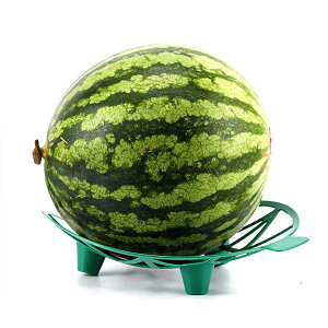 y2Zbgzʕ͔|gC XCJ}bg 󂯎M C`S//ڂ ʕ̉~ ͔| a195mm YYX19502S