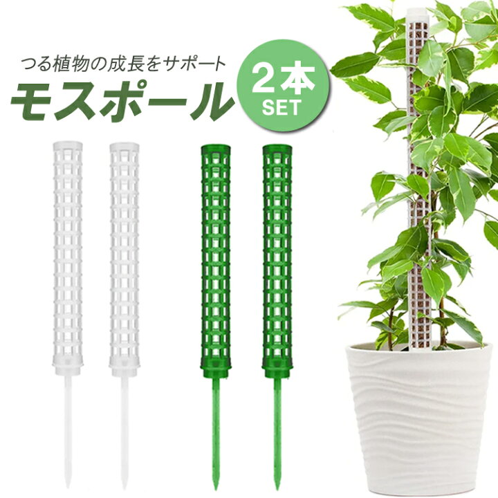 楽天市場】【2本セット】モスポール 支柱 連結可能 観葉植物 つる植物 