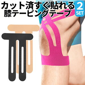 y2ZbgzGe[sOe[v LlVIe[v Jbg \邾 Lk S h ϊ ֐ߕی X|[c ؃g KTTP02S