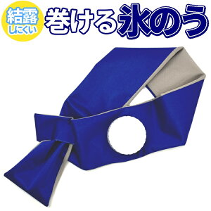 X̂ XX ACXobO ACVO Iɂ JԂg 傫X₷  G N[_E Ђ p WBIB29