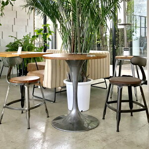 e[u JtFe[u  2l 킢 JtF i` GC E^h X`[r nډH KH NA AeB[N g  1Nۏ 3010 e[u CL