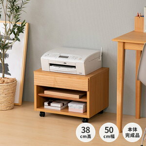 v^[ v^[ [ S v^[S v^[bN 50 38 ؐ A_[  Vv 2F LX^[ p\RfXN i PURE PRINTER CART 50 H38 ISSEIKI