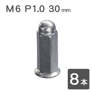 y300x8z 8 M6 P1.0 30mm O tWibg }t[ibg [t@[400 Z400FX Z1 Z2 oIX h[ibg