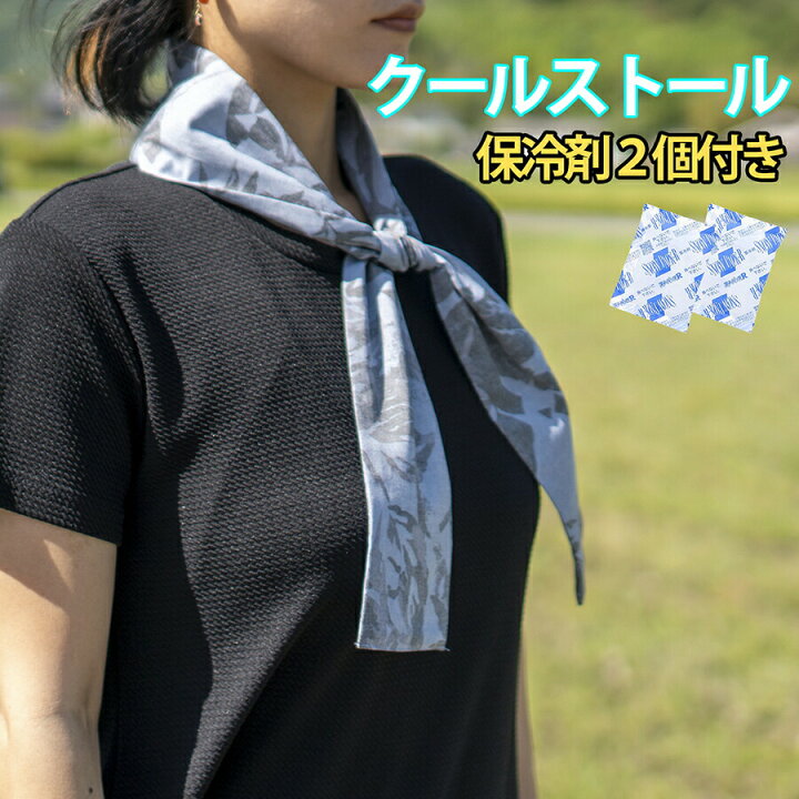 楽天市場】【マラソン期間！P2倍】 ネッククーラー 保冷剤 2個セット 
