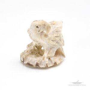 yFUNNYXgAz Yj Lewis Malie tFeBbV C[O  lCeBuAJ Mtg v[g t@j[