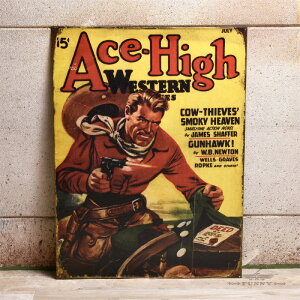 yFUNNYXgAz ^TC{[h [ACE-HIGH] Ŕ USA CeA EGX^ JE{[C CeAG a v[g Mtg FUNNY