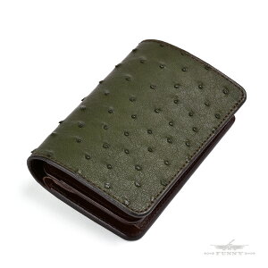 yFUNNYXgAz TZbgrtH[h tNCI[Xgb` tHXgO[ t@j[ z ܂z uh vz ܂ ~hTCY Y fB[X {v _