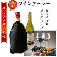 【ランキング1位】 【ソムリエ監修】 ワインクーラー シャンパンクーラー 日本酒クーラー アイスクーラー…
