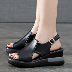 yFunnyBunnyz V[Y C n ₷ l PU T_ 30 fB[XV[Y Xgbv   r 20  ZNV[ N[ 10 lۂ ₷ tFCNU[ JW