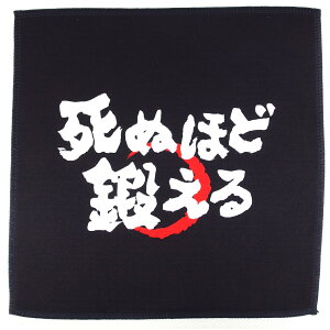  a ObY ( nh^I ʂقǒb ) v[g v`Mtg p |GXe z n }CNt@Co[ nJ` ʔ Mtg