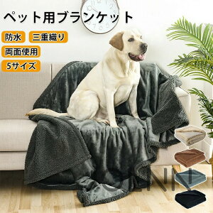 ybguPbg ybgѕz ӂӂ ӂӂѕz uPbg  y ʎg h 3dD @\ Vv ې􂢉\ 􂦂 щHɂ [΍ ^I ΍ h