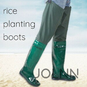 yz֗ 芴 ₷ n Vv h ~ K[fjOV[Y K[fjOu[c jZbNX cApC