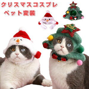 NX}X RXv L  Xq 蕨 LRX`[ Ⴞ NX}Xc[ _炩 ӂӂ NX}X ybgRX`[ ybgϑ ybgANZT[ p[eB[pi 