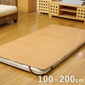 Ђ| ~pbh |V[c uE100×200cm(lSoh) CPqR Ki | Ђ Rf RۖhL ȒP Yh~ lSoht  ɂ K