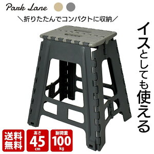 p[N[ ܂肽ݓݑ 45 45cm ׂ~ߕt _[NO[ AC{[e KK