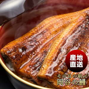 ̓̒i߁IYĂ̂܂܂͂wɏYĂȂāxŁ[V EiM  i N[ Yni s wvk]