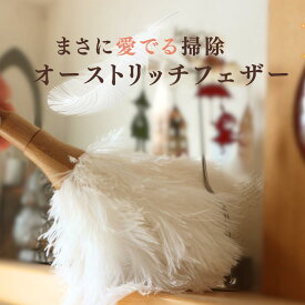 OMOHU 掃除 小物 オーストリッチ ほうき 掃除道具 アイテム ドール ミニチュア 仏壇 観葉植物