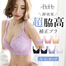 ＼2枚目40%OFFクーポン／ ブラジャー 脇高 脇高ブラ 谷間 レース ブラ 自胸 育乳 脇肉 補正ブラ 矯正 大きいサイズ 谷間 小胸 ブラ ワイヤー入り 姿勢 猫背 かわいい下着 おしゃれ 育乳ブラ いくにゅうぶら フック ホック 4段 5段 昼 送料無料