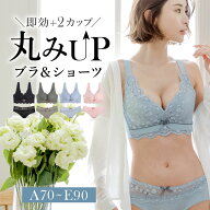 ＼最大30%OFFクーポン／ブラジャー ノンワイヤー ブラ セット ショーツ ナイトブラ 育乳ブラ バストアッ…