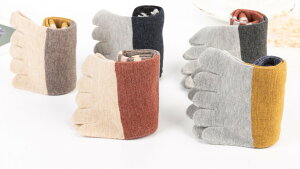 fB[X5{w\bNX C 5{w ܖ{w   ؑ֐F  N 1 \bNXZbg X|[c CZbg Ci[\bNX 23`25cm