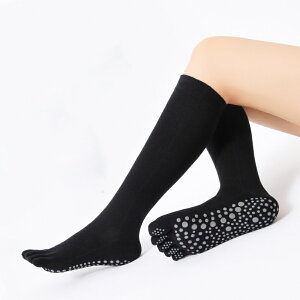 C ܖ{w 5{wnC\bNX ܖ{w\bNX fB[X  ₦΍  fB[X 50cm O\h ۉ z  ~