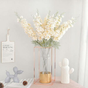  CeA u[P zCg sN  Vp C~e[V   gC CeA 