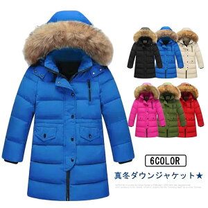 _ER[g q O h ۉ y ̎q j̎q _EWPbg t[ht LbY H~ WjA AE^[ ~ ʉ AEghA h jp ʊw LbYWPbg g