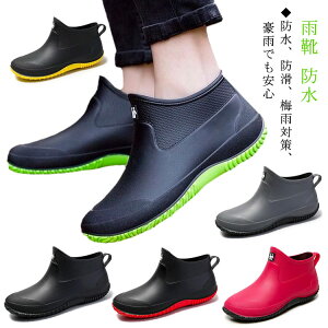 Cu[c fB[X Y CV[Y ~ V[gu[c AEghA h y ~J C V[g JC JWA yA ʋ _ | ₷ ɂ Sh 