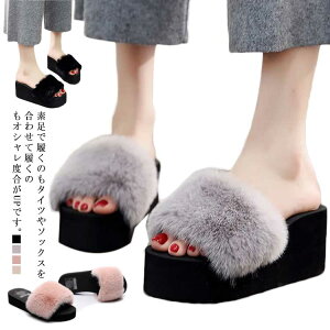 Xbp fB[X T_ t@[ t@[T_   킢 ~ g   q[ ؂ sN GR [g tbgT_  V[Y 22.5-25cm 