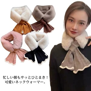 }t[ H ~ fB[X tFCNt@[ g ӂӂ  RR 炩  lbNEH[}[   ӂ ʋ ʊw Xm[{[h X|[c  