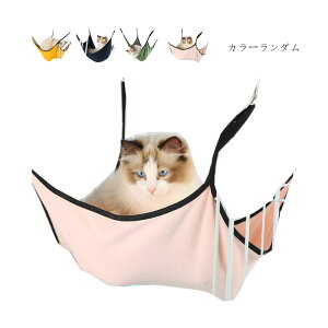  L nbN ~p  v LnbN lR P[W lRp ˂pnbN xbgpnbN