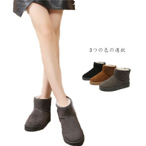  [gu[c fB[X V[g 킢 h  ۉ  {A 킢  lC NX}X v[g