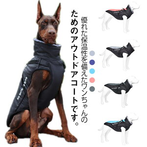 ybg h  ^p`OWPbg g̕ ybg̕ \ 5F pbhŒg ̃TCY U  H~  xXg hbOEFA ybg  p