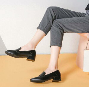 pvX fB[X V[Y C [t@[pvX h Sn 3cmq[ Â 炩 d d ʊw ʋ ItBX lۂ 傫TCY   x[W