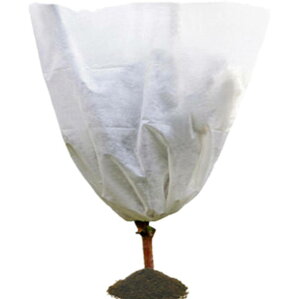 AیJo[ 2 h AhJo[ ΍ ~p h΍ A В y ΍ 悯 h ؍͔| Aۉlbg sDz Rt ~ph΍ O |pi