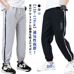 WjA LbY JWA 悯 120 WK[pc qǂ 2Zbg w 2Zbg 悯  qp  W[W ڐG⊴ hC pc g[jO X|[cEFA Op