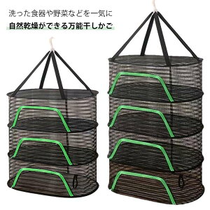  hCt[coXPbg 3i bV  ~ 4i   銱  V hCt[h[J[  hCt[c[J[ t[hhC[ 