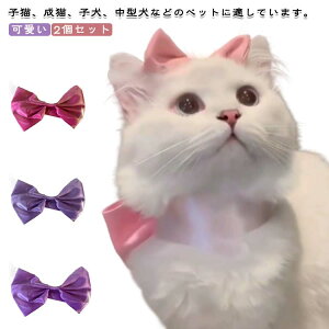 rbO{  L 2Zbg hbOEFA LbgEFA 킢 hbO p Lp   L ybg ANZT[ lR ̕ scarf ^ ^ LOtHg  ybgp