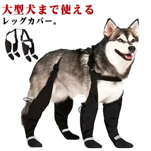 ^ bOJo[ TXy_[ o O U l{pc h~ Xy_[tppc  ~  ی EȂ ߉\ U ~J pbOJo[ E