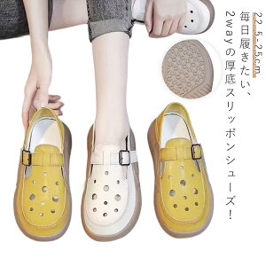 2way Xb| fB[X  ₷ Ȃ ʋCt Xj[J[ Xb| V[Y K ₷ ₷ JWA  22.5-25cm