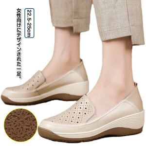  Xb| fB[X  ʋC }}V[Y _炩 V[Y U[V[Y 4cm r ₷ t JWA ɂ Xb| ~ 22.5cm 23cm 23.5cm 24cm