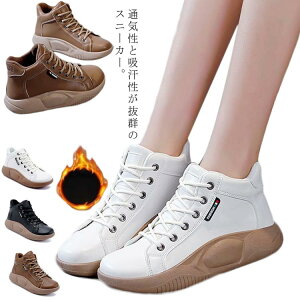 Xj[J[ fB[X V[Y Xb| RtH[gV[Y ₷ C  Xb| Ȃ _ ~ ^C ₷ C U